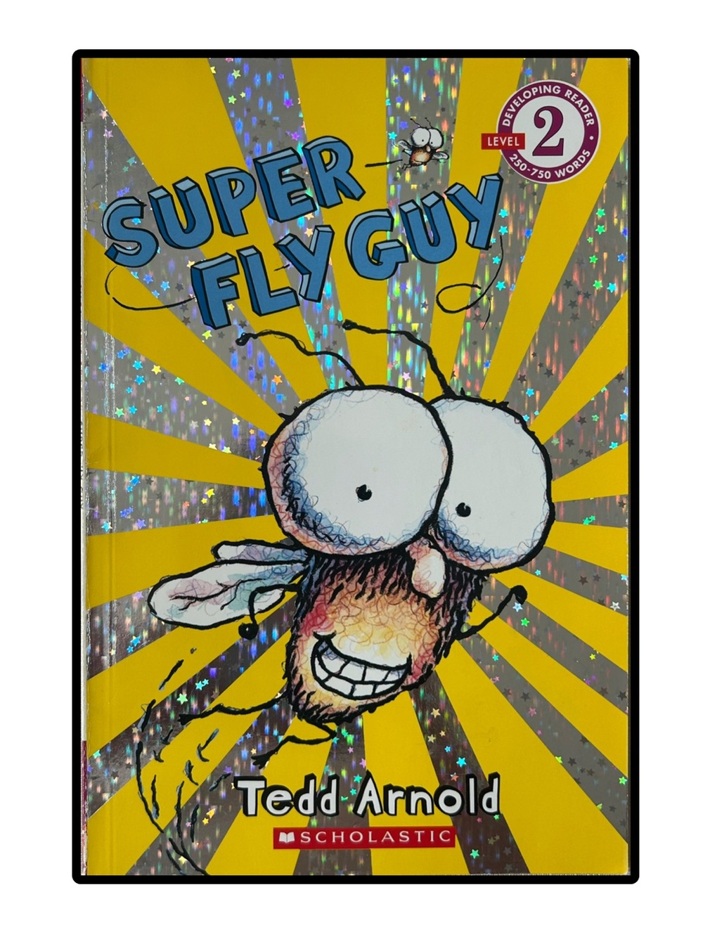 BUNDLE & SAVE 🪰 Super Fly Guy by Tedd Arnold